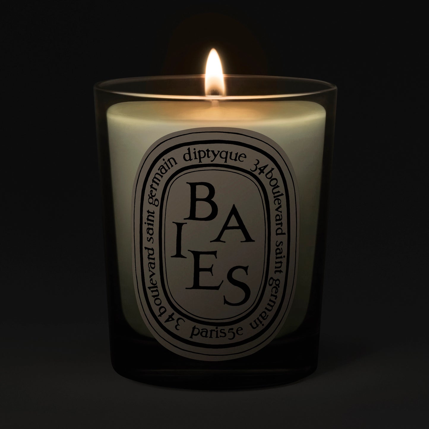 Baies (Berries) Classic Candle