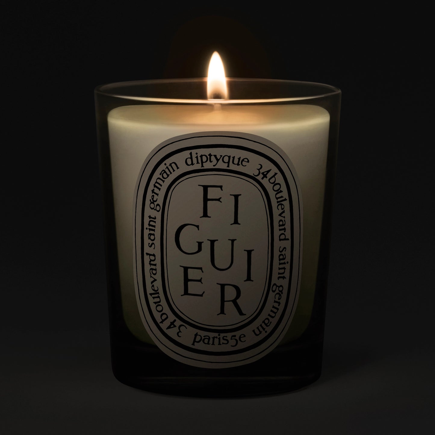 Figuier (Fig Tree) Classic Candle