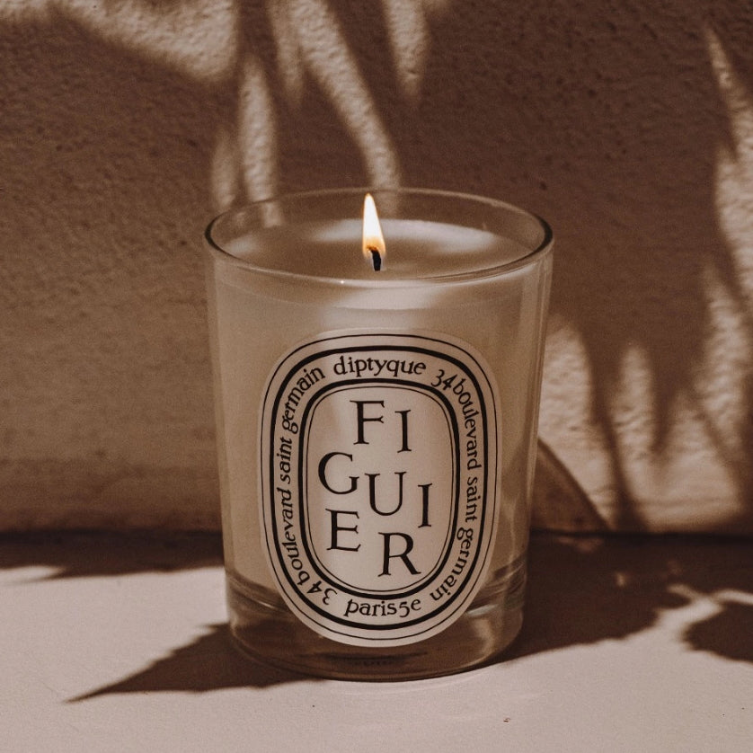 Figuier (Fig Tree) Classic Candle